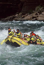 Paddle Boat in action photo